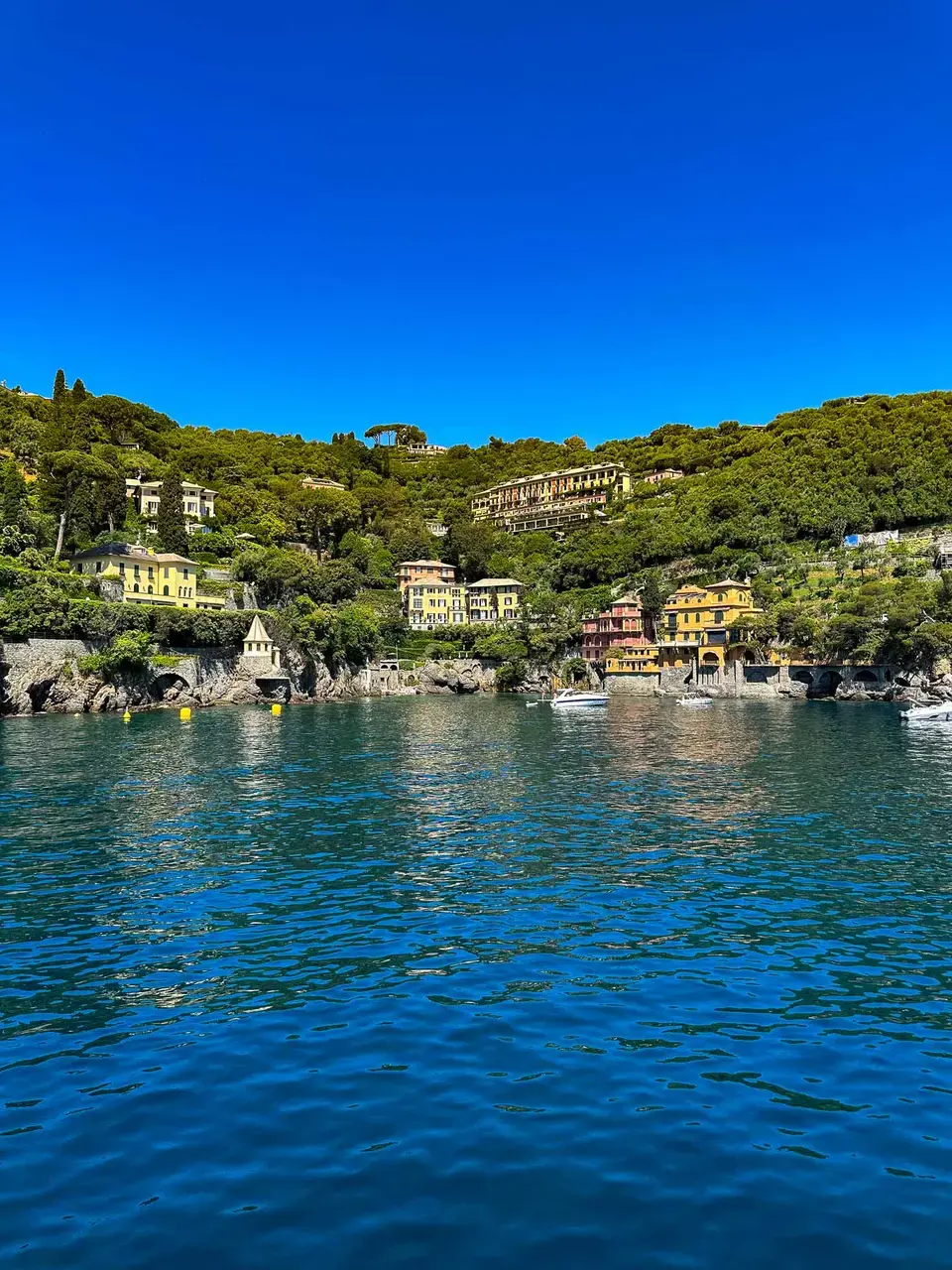 A forested hillside overlooking the water
