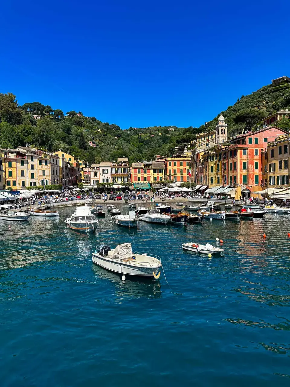 Boats moored in a clear coastal harbour