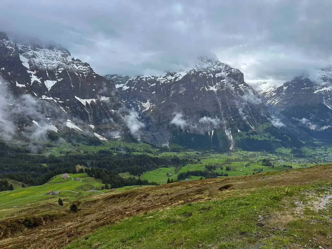 A green alpine meadow below towering mountains