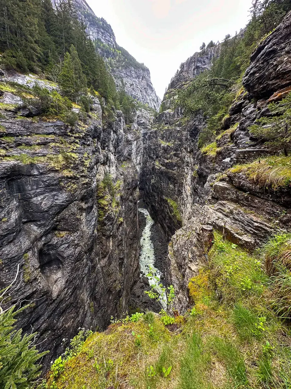 A waterfall cascading down a forested cliff