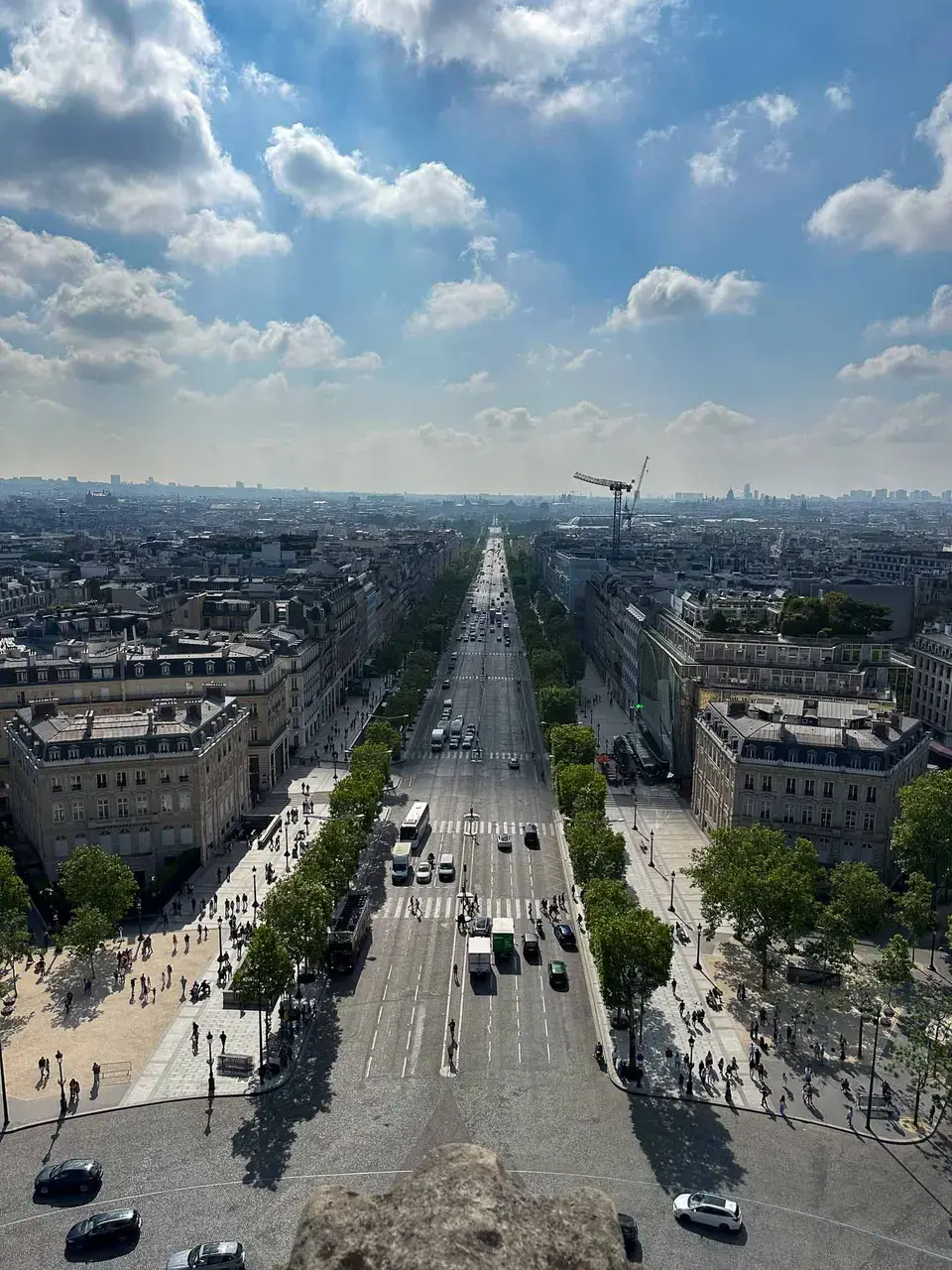 A long tree-lined avenue receding into the distance