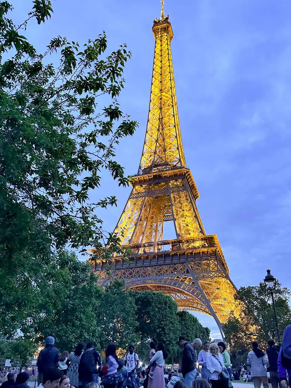 The illuminated Eiffel Tower at dusk, framed by trees in Paris