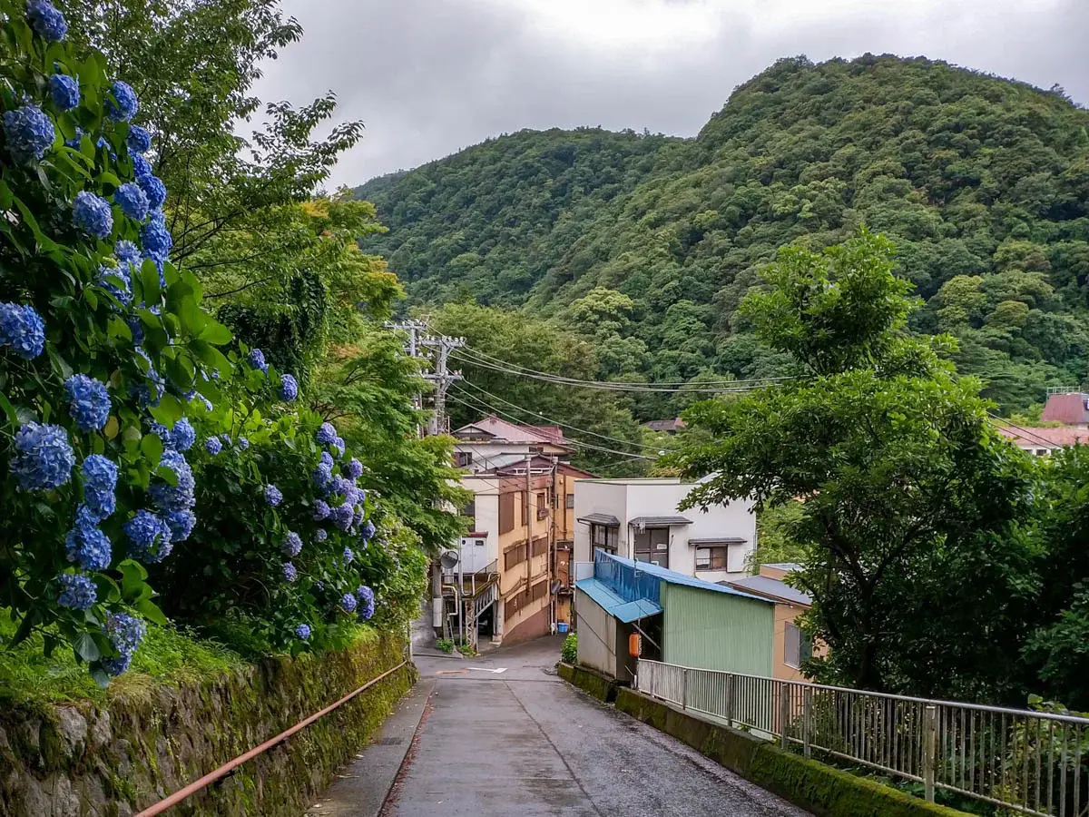 Photograph of Shinto Shrine Hill in Japan