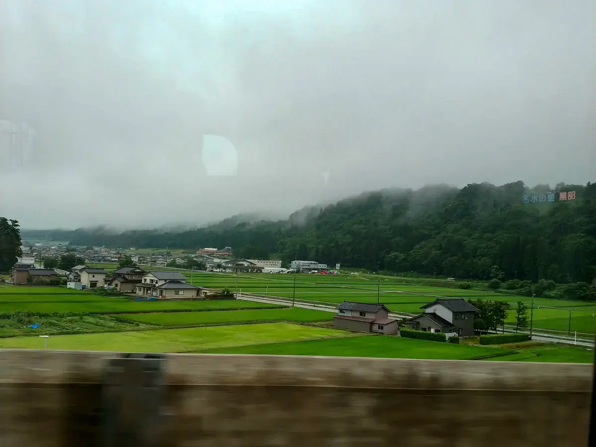 Photograph of rice fields near Kurobe seen from the train in Japan