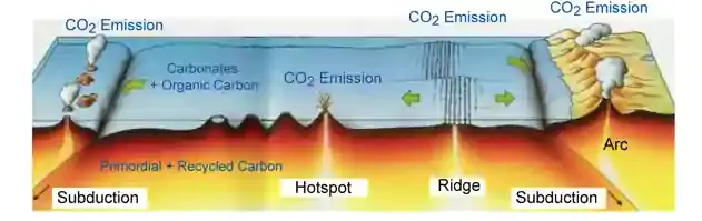 Carbon Outgassing
