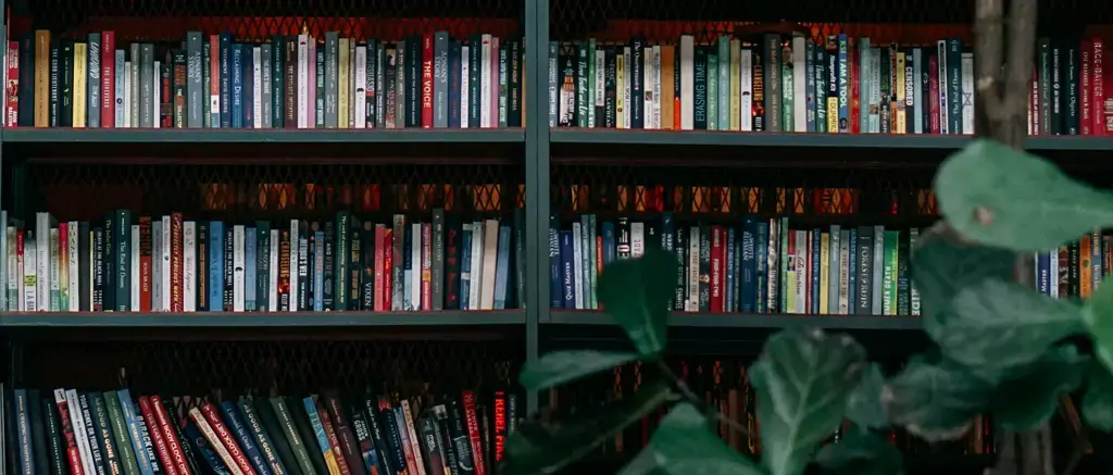 Bookshelf with plant in front
