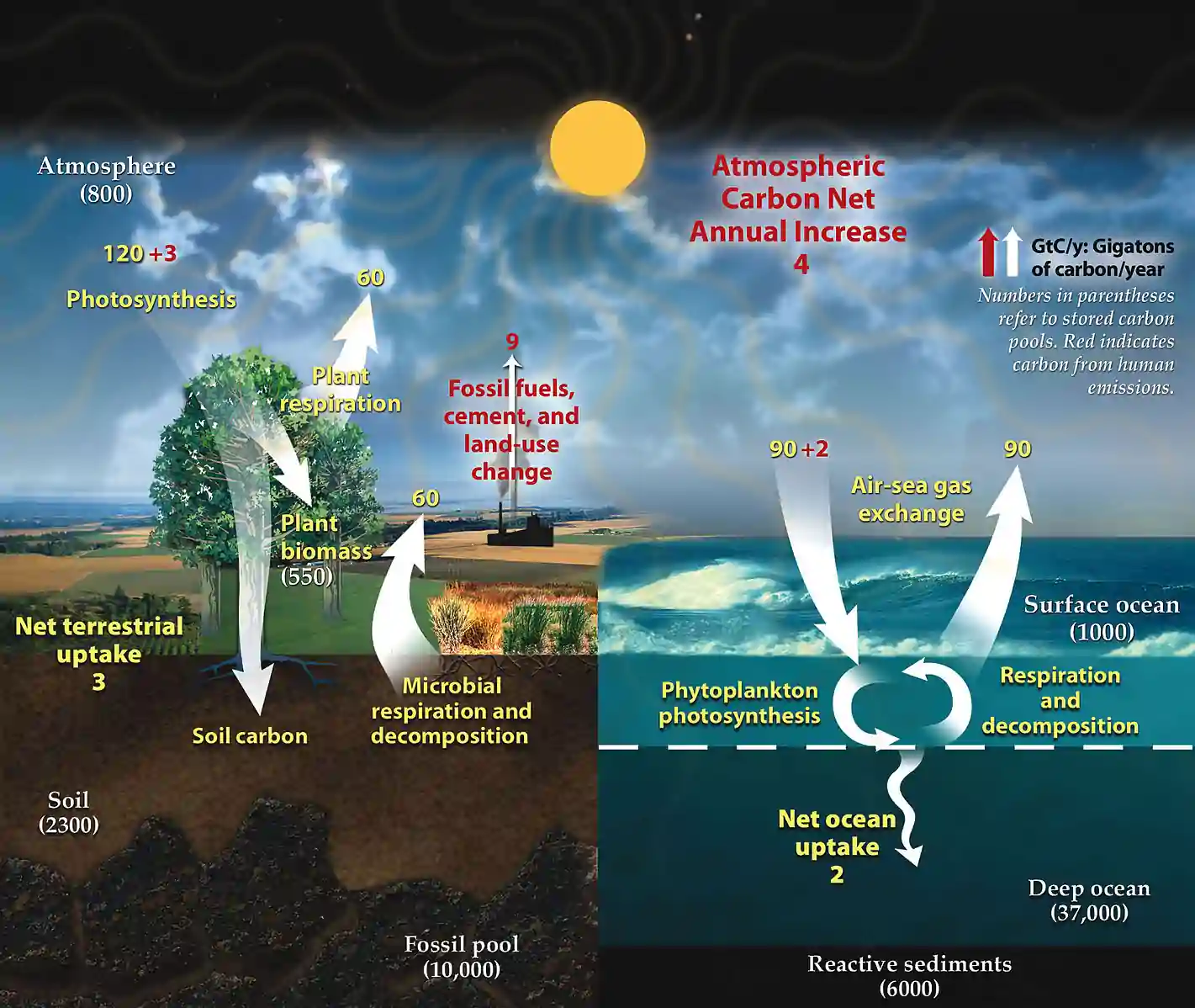 Radiative-Convective-Equilibrium