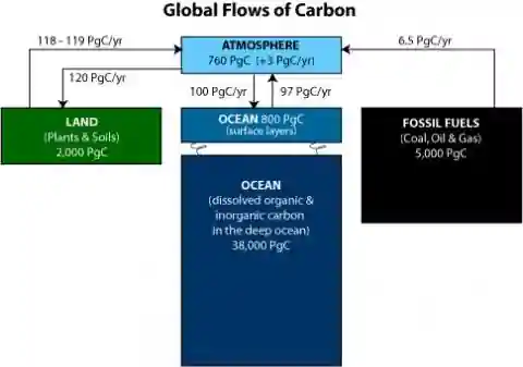 Carbon-Cycle