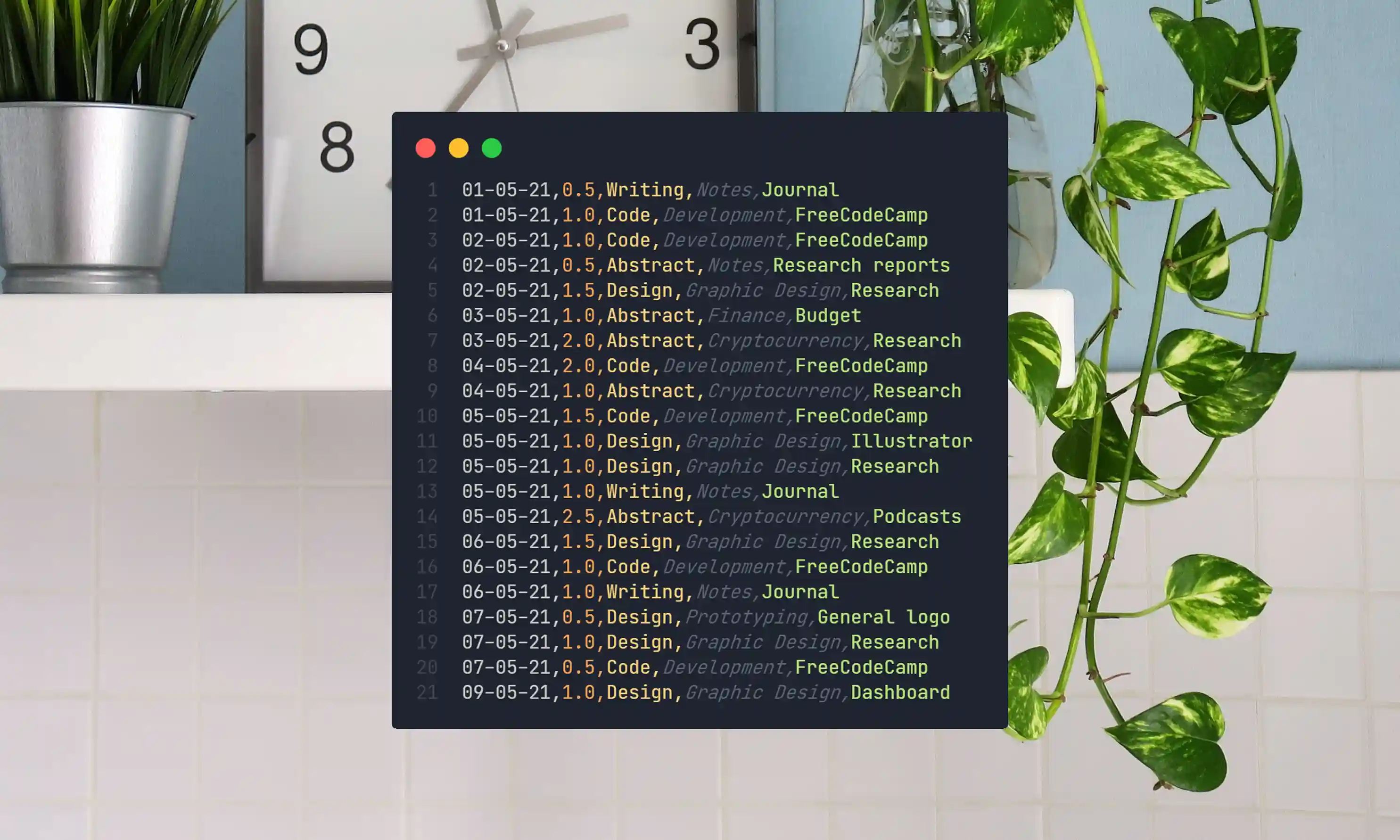 Code surrounded by plant, clock and wall